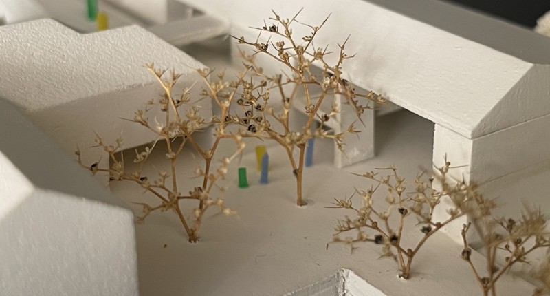 Realisierungswettbewerb Erweiterung Kindertagesstätte Pellingen