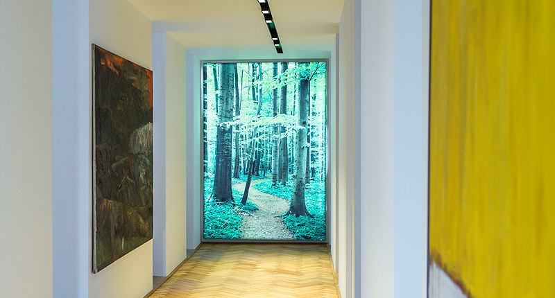 Büroeinheit im denkmalgeschützten ehemaligen Hotel Freiburger Hof in Freiburg