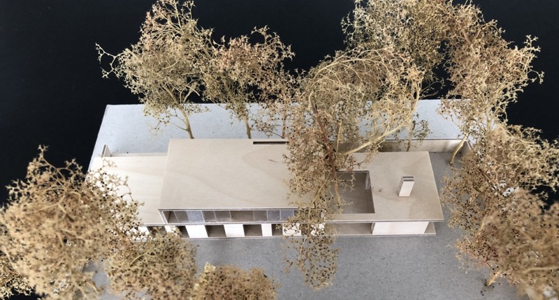 Neubau Wohnhaus Waldkirch I