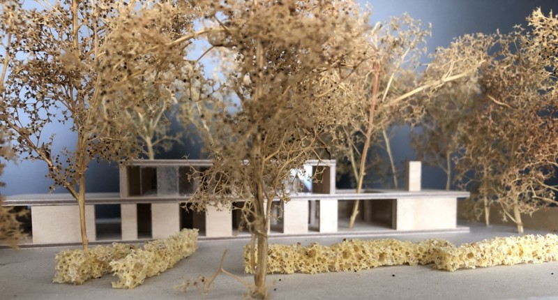 Neubau Wohnhaus Waldkirch I