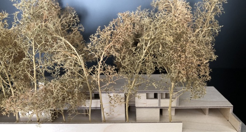 Neubau Wohnhaus Waldkirch I